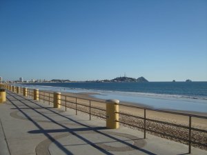 24505_1207385799473_326016_n[1]